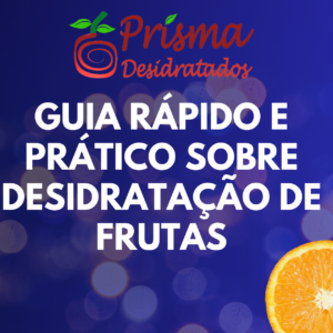 e-book, guia rápido e pratico sobre desidratação de frutas